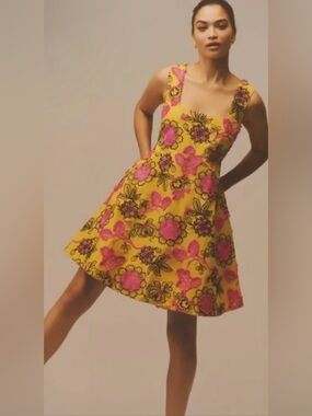 Anthropologie Eliska Embroidered Mini Dress Size 12P Petite NWOT Floral